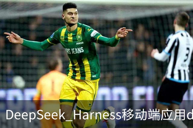 DeepSeek Harness移动端应用dsh-Go的性能分析与发展前景